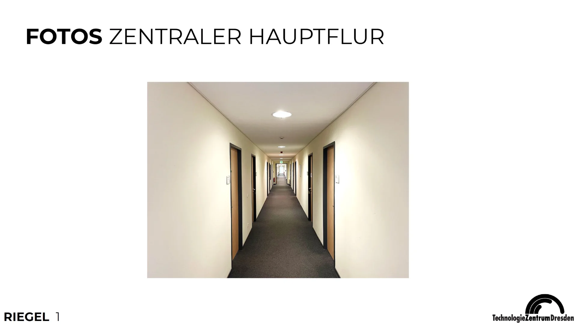 Flexible Büroflächen ab 20 m² auf 2 Etagen – ab 01.02.2026 verfügbar | Riegel 1