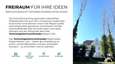 Glasfront & Komfort: lichtdurchflutet & klimatisiert - Büros & Werkstätten mit eigenem Zugang in bester Lage